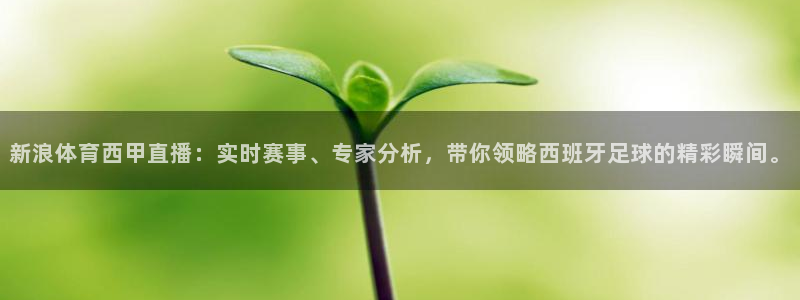 龙门足球直播：新浪体育西甲直播：实时赛事、专家分析，带你领略西班牙足球的精彩瞬间。