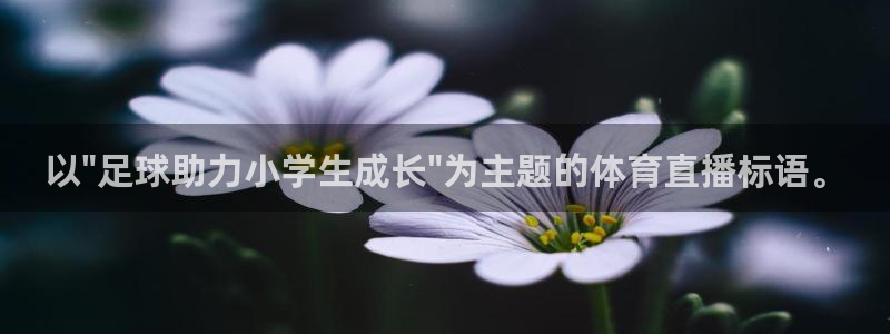 龙门直播在线直播：以\