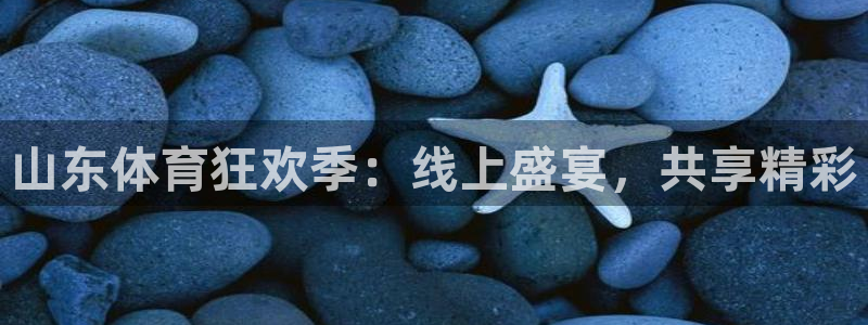龙门镖局超清在线观看：山东体育狂欢季：线上盛宴，共享精彩