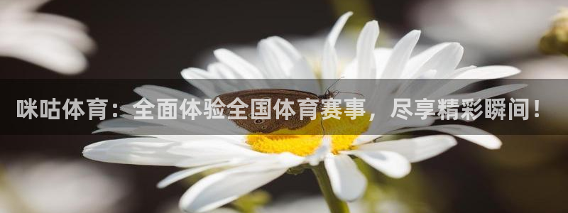 龙门直播体育免费观看：咪咕体育：全面体验全国体育赛事，尽享精彩瞬间！