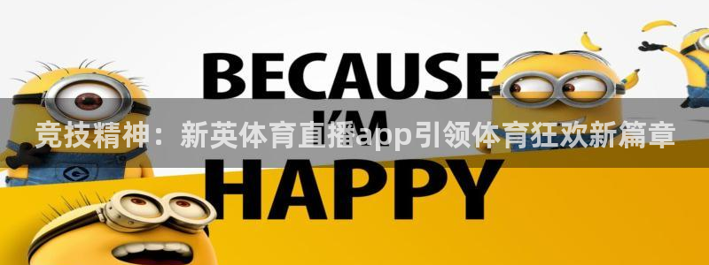 龙门直播体育免费观看：竞技精神：新英体育直播app引领体育狂欢新篇章