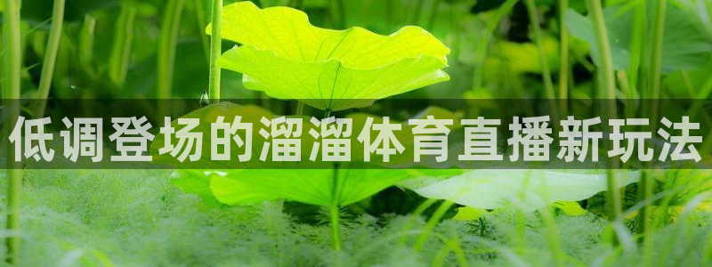 龙门直播官网下载：低调登场的溜溜体育直播新玩法