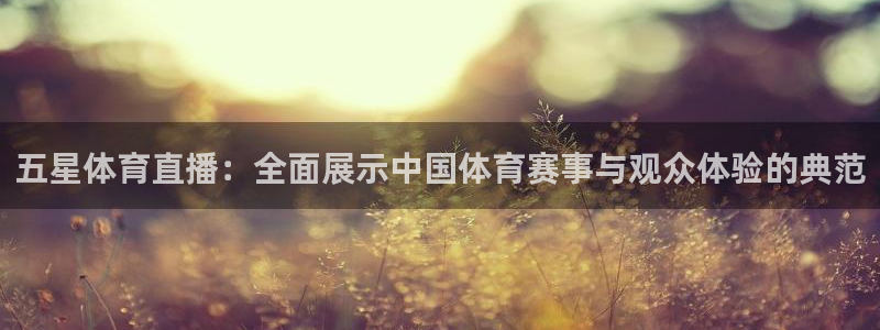 看球直播龙门直播：五星体育直播：全面展示中国体育赛事与观众体验的典范