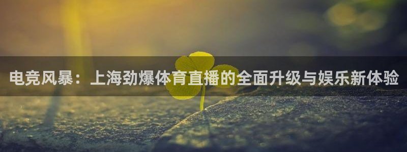龙门体育直播免费观看：电竞风暴：上海劲爆体育直播的全面升级与娱乐新体验