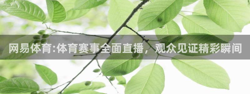 龙门体育免费直播：网易体育:体育赛事全面直播，观众见证精彩瞬间