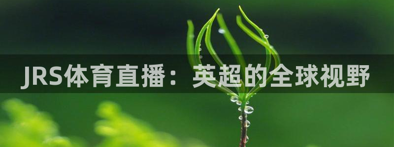 龙门飞甲粤语在线看：JRS体育直播：英超的全球视野