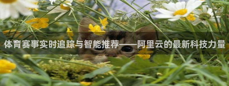 178直播比赛在线观看龙门：体育赛事实时追踪与智能推荐——阿里云的最新科技力量